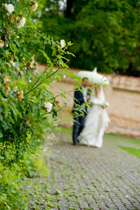 hochzeit492.jpg