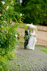 hochzeit492