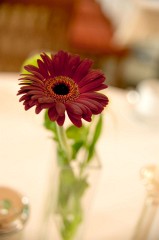hochzeit346