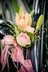 hochzeit18